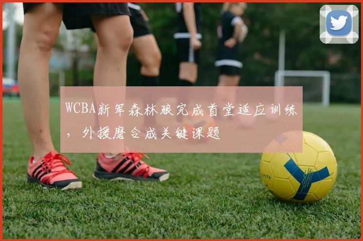WCBA新军森林狼完成首堂适应训练，外援磨合成关键课题