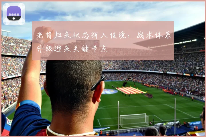 老将归来状态渐入佳境，战术体系升级迎来关键节点
