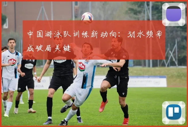 中国游泳队训练新动向：划水频率成破局关键